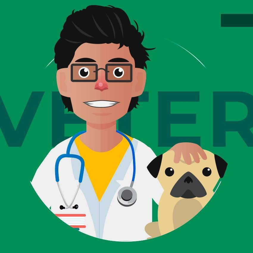 Veterinário Concurseiro